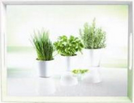 EMSA Tablett Herbs 50 x 37 cm.
