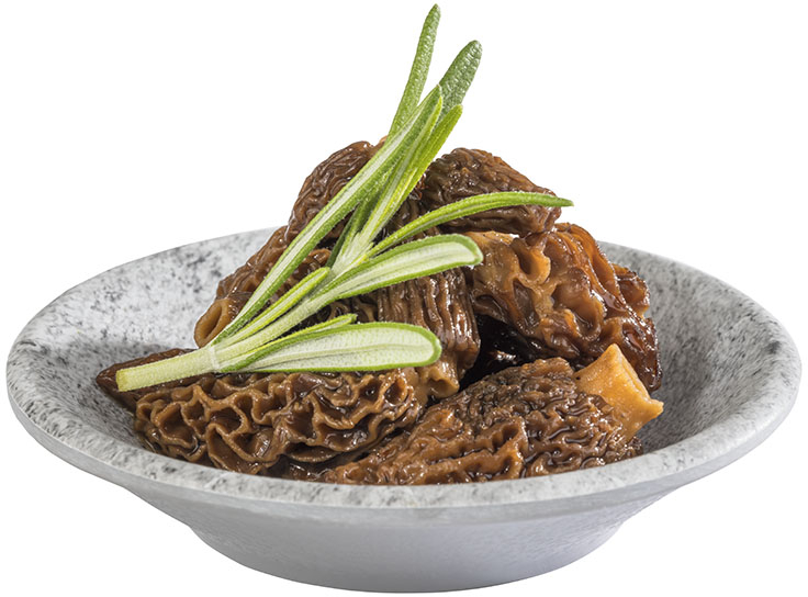 Schale -ELEMENT- Ø 8 cm, H: 2 cm Melamin Farbe: Betonoptik 0,01 Liter spülmaschinengeeignet stapelbar nicht