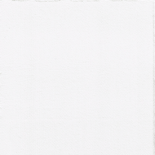 30 Servietten, 2-lagig "PUNTO" 1/4-Falz 38 cm x 38 cm weiss mikrogeprägt von PAPSTAR