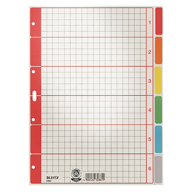 Leitz Ordnerregister DIN A4 blanko Karton, recycelt grau 6 Registerblätter