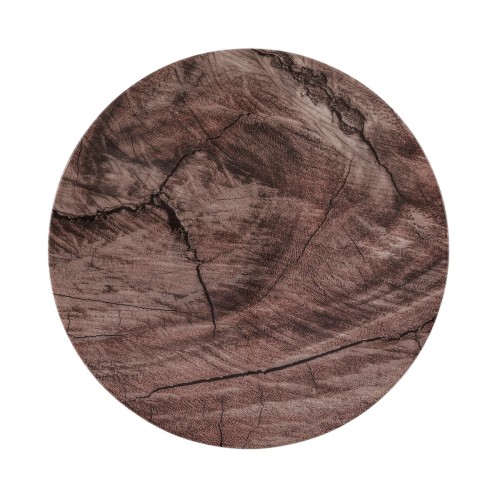 Seltmann Coupteller flach 21,5 cm M5380, rund, Form: Coup Fine Dining, Dekor: 57654 Oak, hohe Kantenschlagfestigkeit, Made in Germany