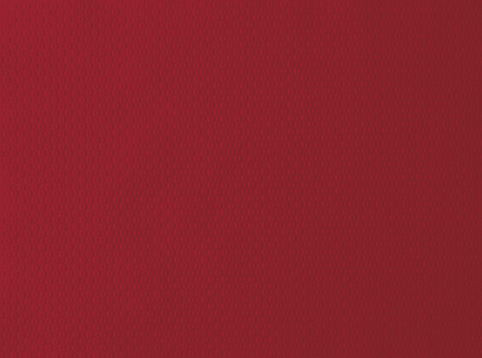 DUNI Papier-Tischsets 30 x 40 cm, bordeaux