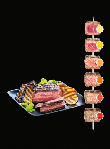 TEFAL GC722D OPTIGRILL+ XL mit 9 Automatikprogrammen und einem manuellen Modus mit 4 Temperatureinstellungen