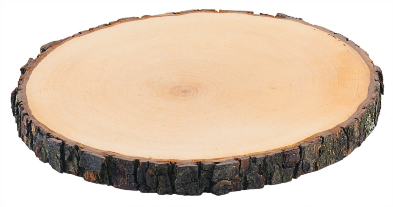Rindenbrett rund 20-22 cm