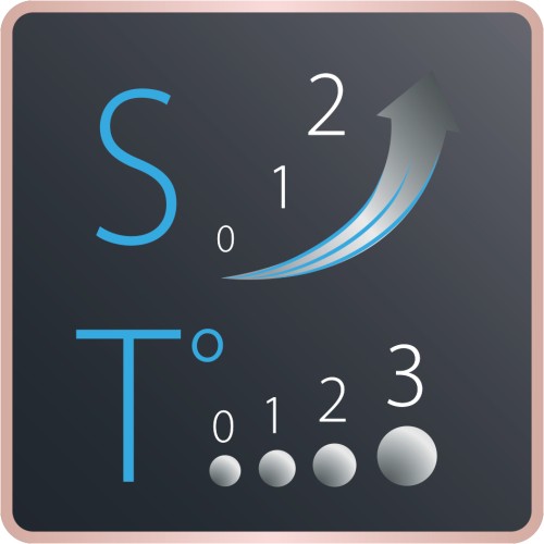 Rowenta Studio Dry Haartrockner Ionic-Booster Energiesparende Effiwatts-Technologie 6 Geschwindigkeits-/Temperaturkombinationen Thermo