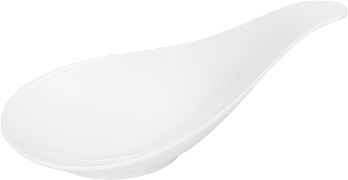 Showpiece Agavenblatt 24x15 cm Höhe: 12 cm von SCHÖNWALD