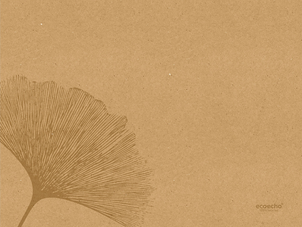 DUNI Papier-Tischsets 30 x 40 cm, Organic