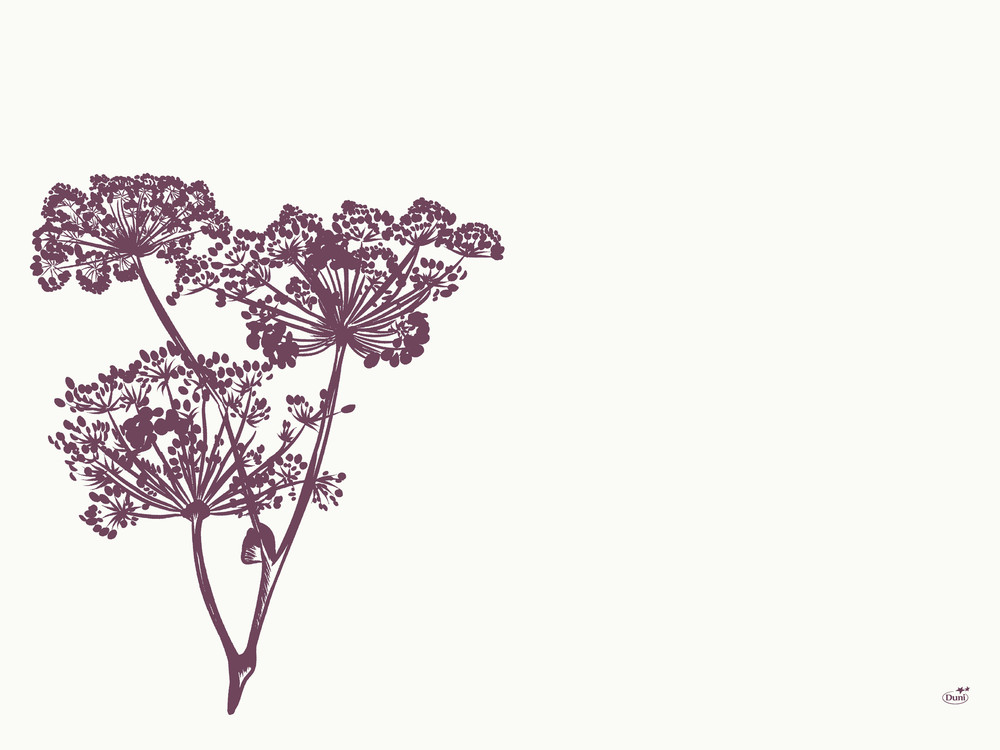 DUNI Dunicel-Tischsets 30 x 40 cm, Yarrow