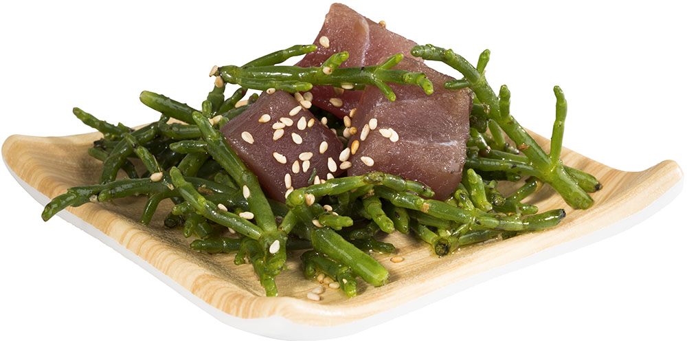 Tablett -BAMBOO- 10 x 10 cm, H: 2 cm Melamin innen: Bambusoptik außen: weiß spülmaschinengeeignet stapelbar nicht