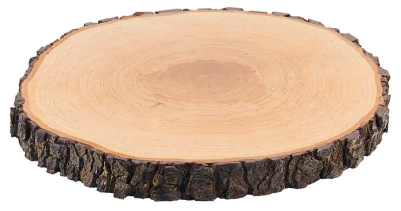 Rindenbrett rund 27-30 cm