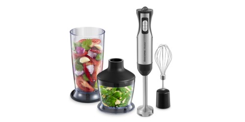 Stabmixer PRESIDENT, mit Zubehörteile