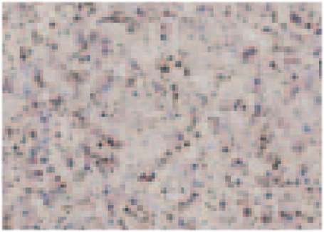 Tablett MAGIC 530 X 370 mm granit.