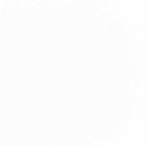 DUNI Dunicel-Serv.41x41 weiß unbedruckt-50er 50 Stück