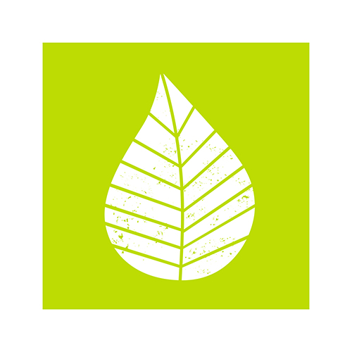 20 Servietten, 3-lagig 1/4-Falz 25 cm x 25 cm grün "Graphic Leaves" von PAPSTAR