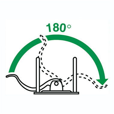 Leitz Ordner Active WOW 82mm DIN A4 Werkstoff: Polyfoam grün, Rückenbreite: 82 mm, Verwendung für Papierformat: DIN A4,