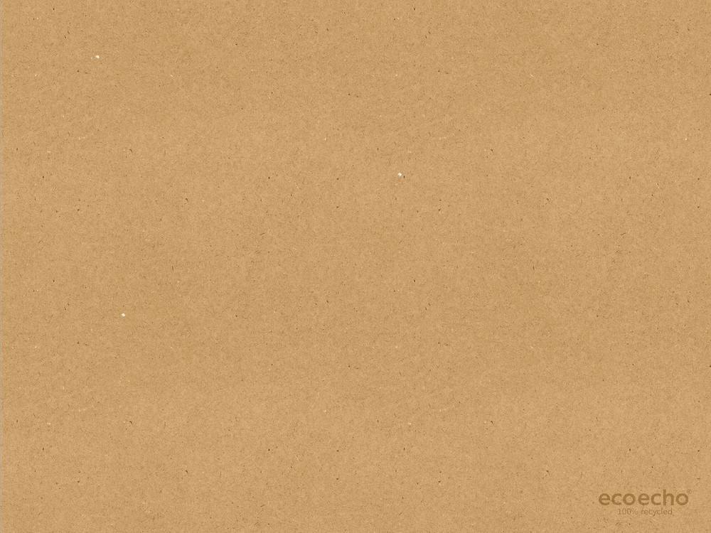 DUNI Papier Tischset Recycled 30 x 40 cm, echoecho