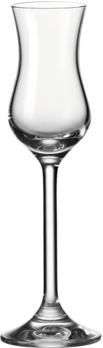 LEONARDO Grappaglas 100ml Daily