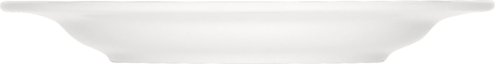 BAUSCHER carat Teller halbtief Fahne 20 cm