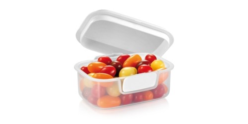 Dose FreshZONE 20 x 16 cm