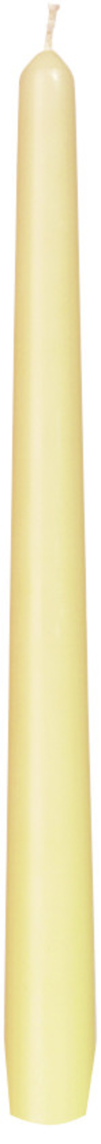 DUNI Leuchterkerzen 250x22mm cream 50 Stück