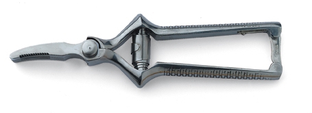 Victorinox Masticateur, rostfrei, 18 cm