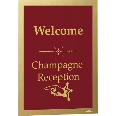 DURABLE Magnetrahmen DURAFRAME® DIN A4 gold 2 St./Pack.