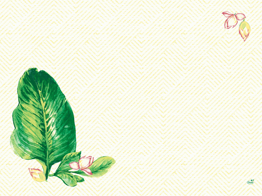 DUNI Dunicel-Tischsets 30 x 40 cm, Banas