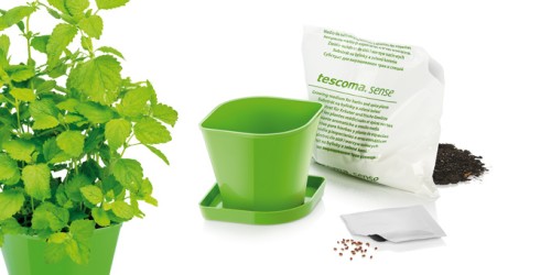 Kräuteranbau-Set SENSE, Melisse