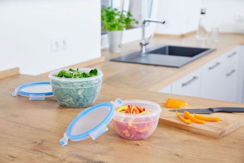 Emsa CLIP & CLOSE Frischhaltedosen 2er Set, rund (1,1 Liter + 2,6 Liter) aus Kunststoff - Made in Germany - BPA-frei