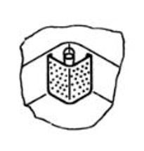 BLANCO Eckschutzsieb aus Edelstahl, geloch, einschließlich Befestigungsmaterial (Haftsauger)