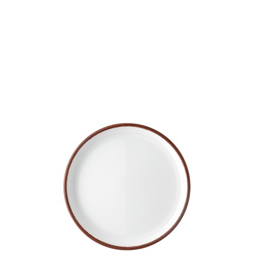 Rosenthal Teller flach 17cm Profi Easy Earth aus Porzellan