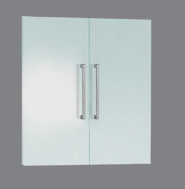 Vorbautüren-Set MODUS, Glas satiniert 4 mm, zu Einzelregal 80 x 38 x 78 cm, 2 Ordnerhöhen, Griffe Edelstahl.