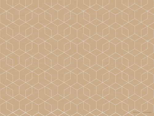 Duni Papier-Tischset 30 x 40 cm Woven Ecoecho, 1000 Stk/Krt (4 x 250 Stk)