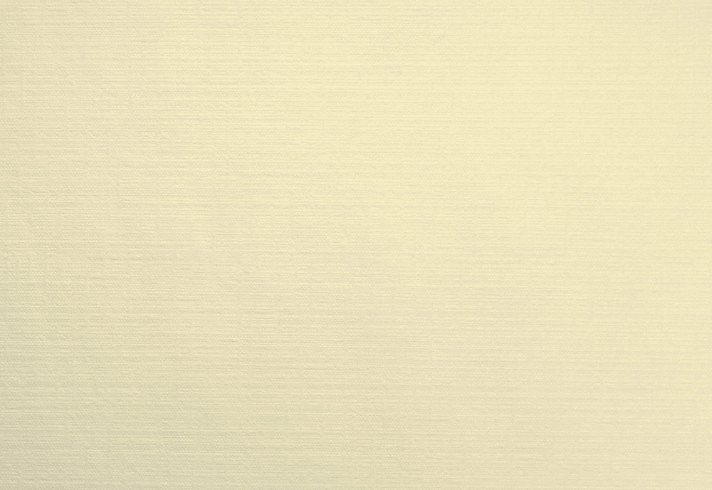 DUNI Evolin-Tischsets 30 x 43,5 cm, cream