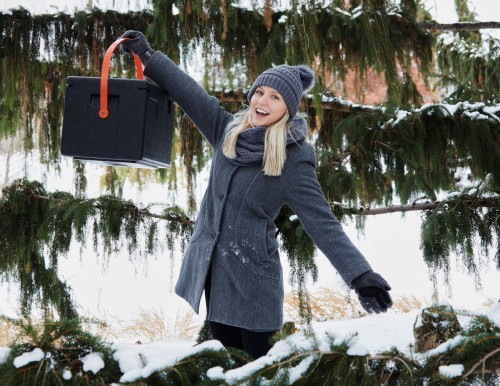 Cam GoBox Toplader EPP280 GN1/2-20cm mit rotem Gurt von Cambro