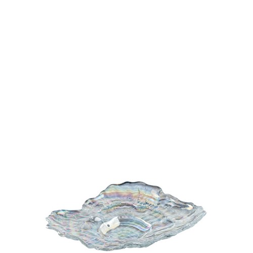 Muschelschale 23x17 POESIA - Leonardo