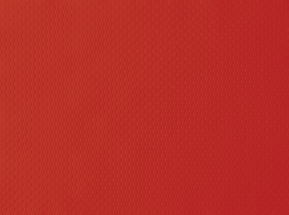 DUNI Papier-Tischsets 30 x 40 cm, rot