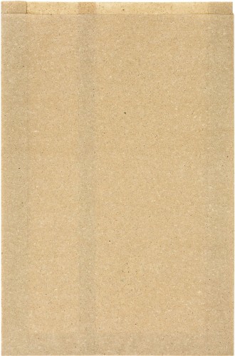 Duni Graspapier-Tüte, Bloom Large 450 x 300 mm Nature, 500 Stk/Krt (1 x 500 Stk)