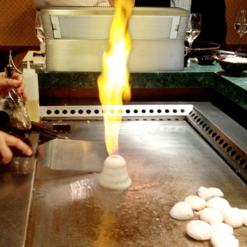 NEUMÄRKER Mobile Abzugshaube 600 x 130/215 x 370 mm