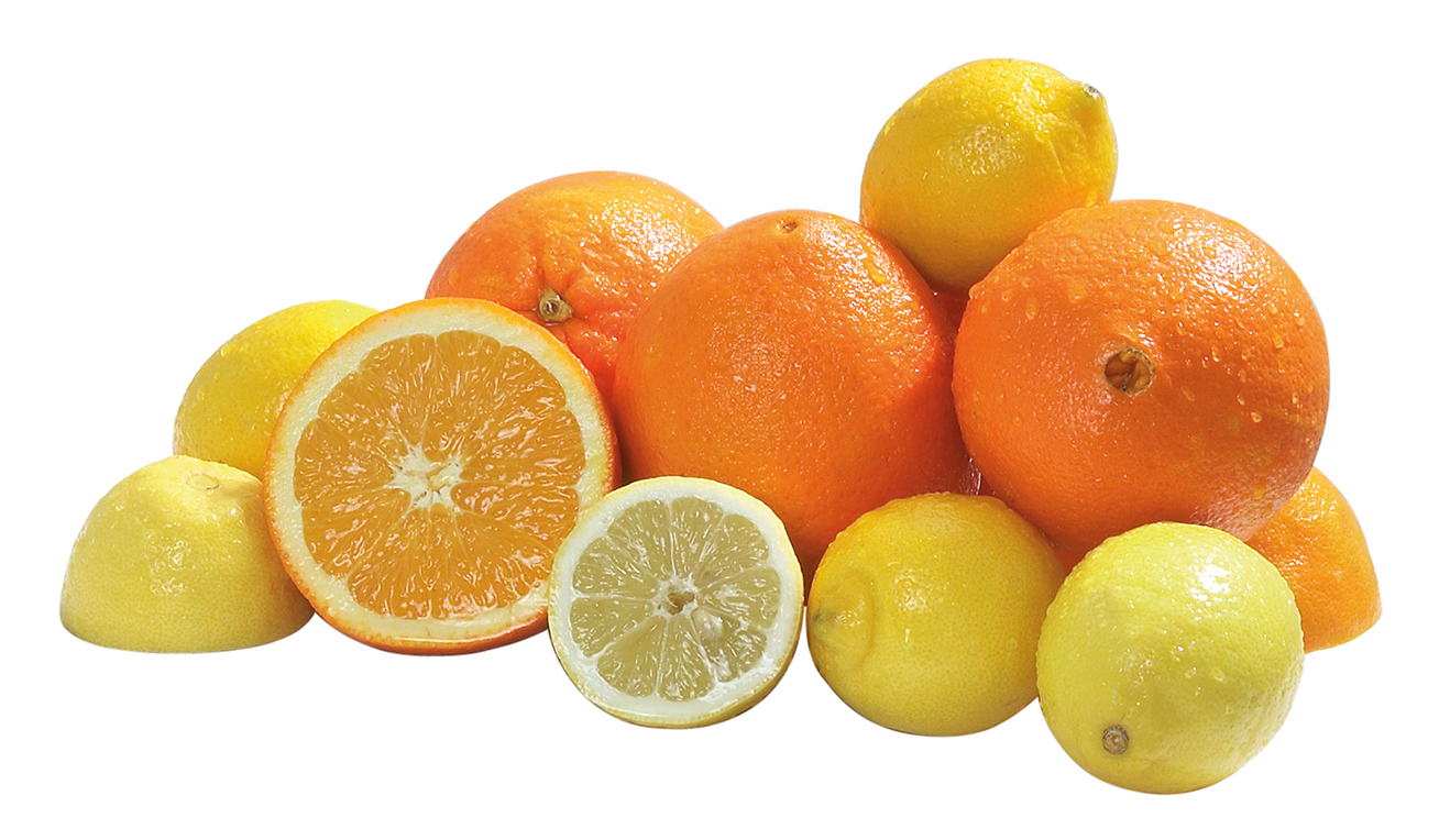 Bartscher Zitruspresse "Joy" | Steuerung: Ein-/Ausschalter | Maße: 21 x 32 x 415 cm. Gewicht: 5,5 kg