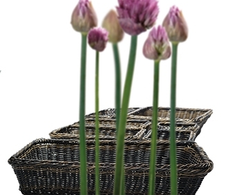 GN 1/1 Korb 53 x 32,5 cm, H: 6,5 cm Polypropylen, schwarz / braun mit Edelstahldraht im Rand -PROFI LINE-