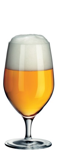WMF ROYAL Wasser-/Bierglas 0,3L | Maße: 16,5 x 7,3 x 7,3 cm