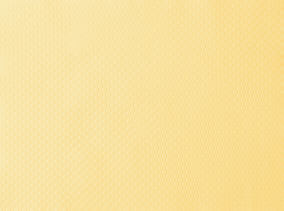 DUNI Papier-Tischsets 30 x 40 cm, cream