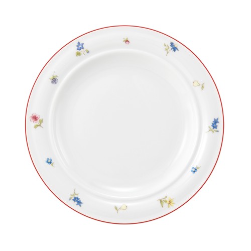 Seltmann Teller flach 20 cm Fahne, rund, Form: Community, Dekor: 57388 Streublume rote Linie, hohe Kantenschlagfestigkeit, Made in Germany