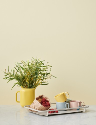 CARRY-ON Serviertablett grau, Maße: 150 x 100 x 170 mm