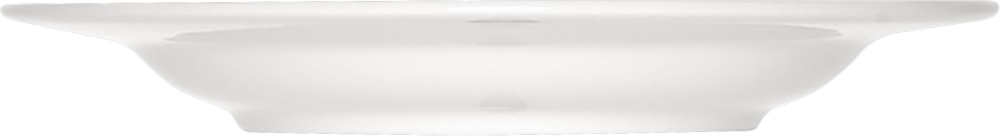 BAUSCHER maitre Teller tief Fahne 23 cm