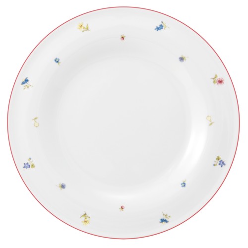 Seltmann Teller flach 30 cm, rund, Form: Community, Dekor: 57388 Streublume rote Linie, hohe Kantenschlagfestigkeit, Made in Germany