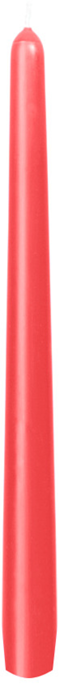 DUNI Leuchterkerzen 250x22mm mandarin 50 Stück