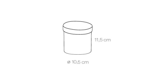 Lebensmitteldose FIESTA 0.5 l