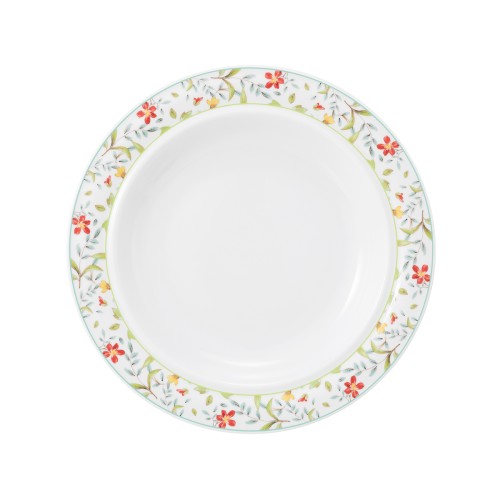 Seltmann Teller halbtief 25,5 cm, rund, Form: Community, Dekor: 57401 Landhaus, hohe Kantenschlagfestigkeit, Made in Germany